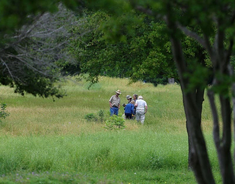 Friends of Oak Cliff Workday (VH)