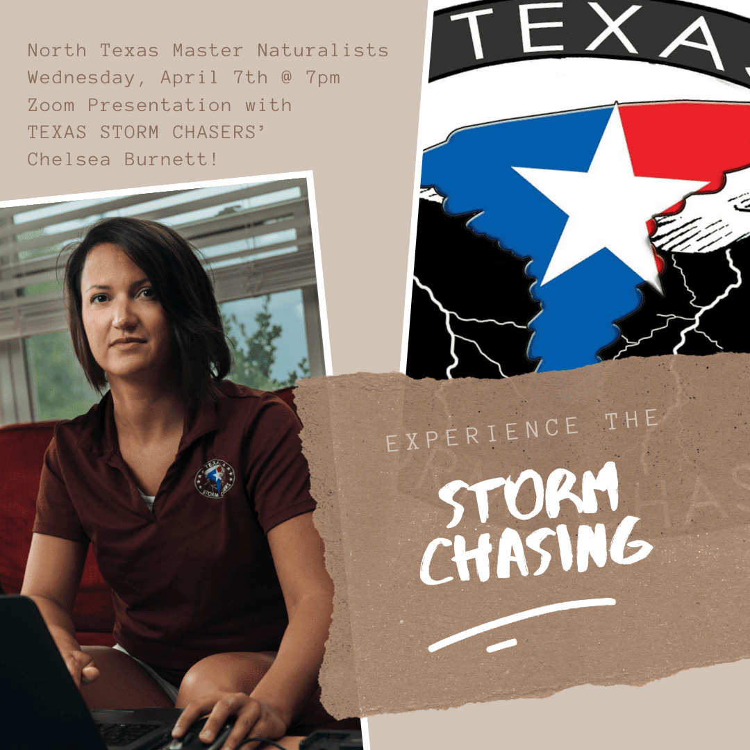 Chasing with Chelsea: Surviving Severe Weather in North Texas (AT)