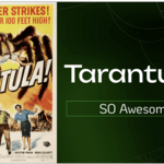 NTMN December Chapter Meeting