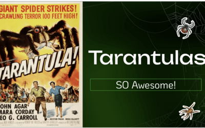 NTMN December Chapter Meeting – Tarantulas: SO Awesome!