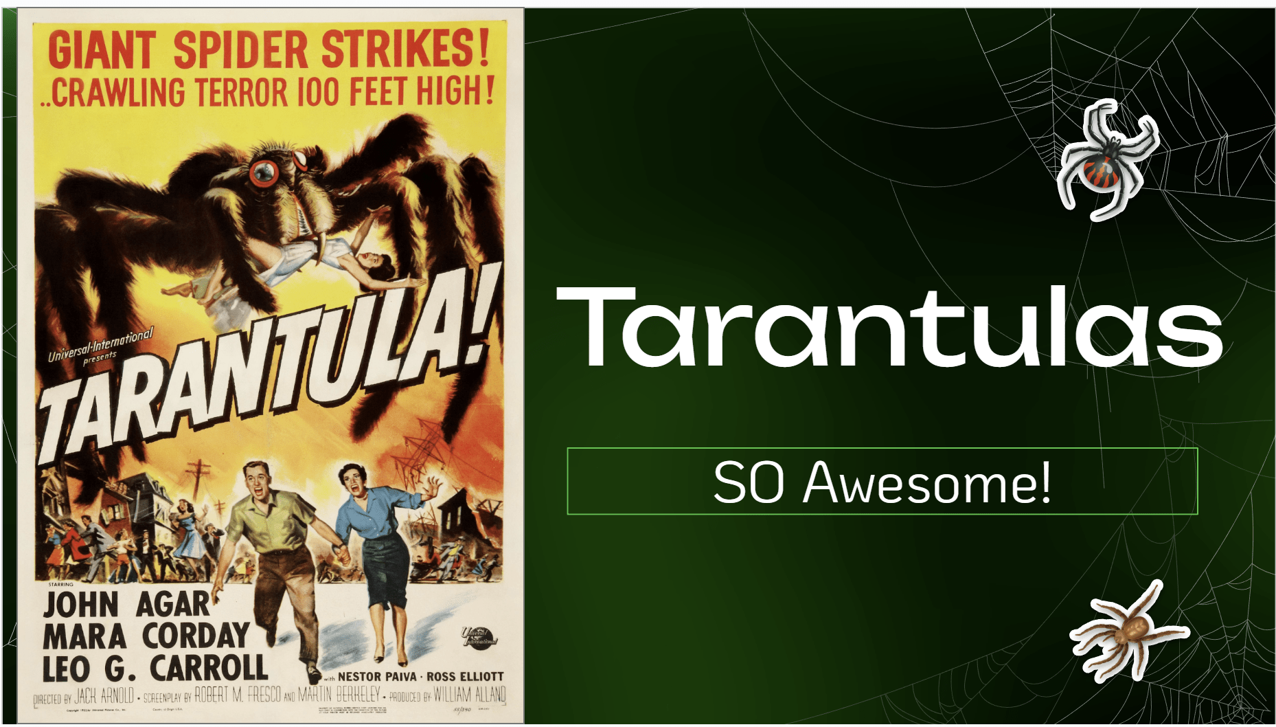 NTMN December Chapter Meeting