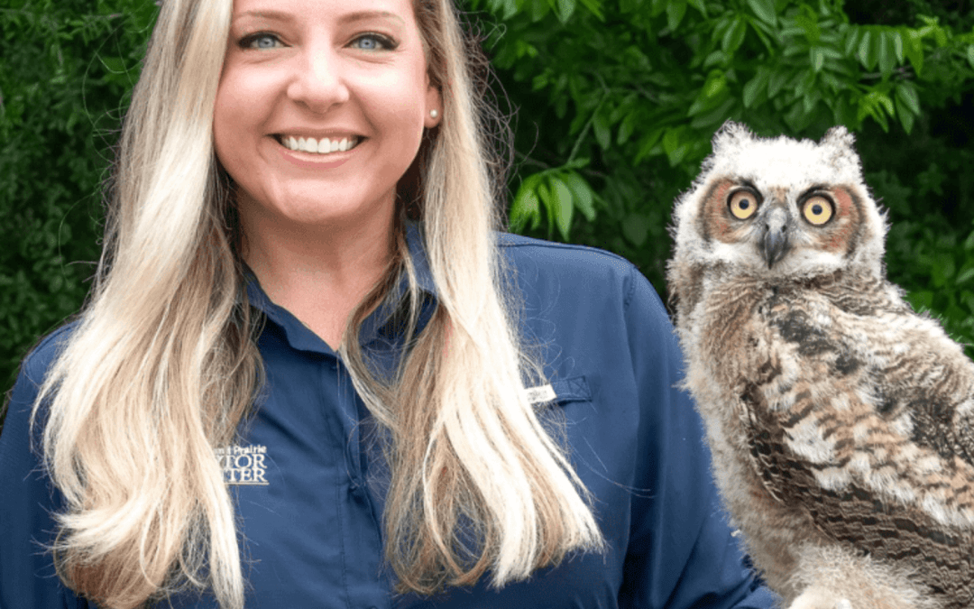 NTMN January Chapter Meeting: Raptors Amazing Birds of Prey